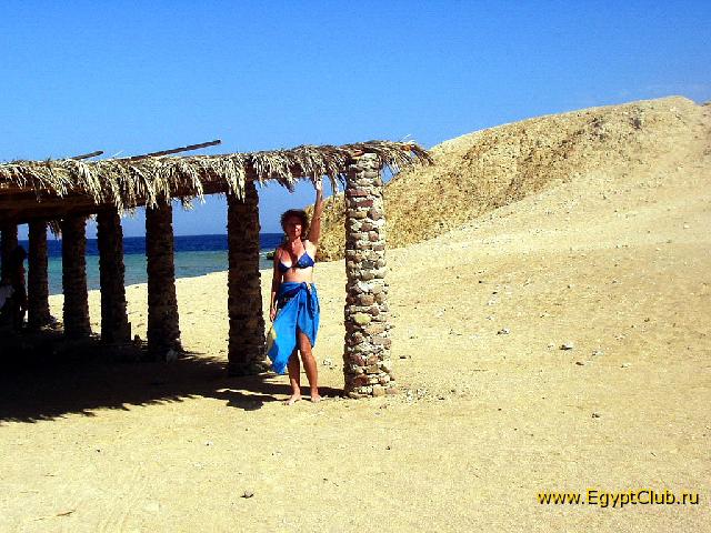 ��� ��������