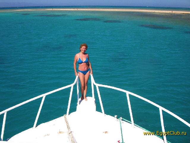 ������ �����