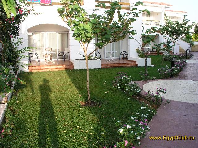 � � ������ ������ ���������. ������