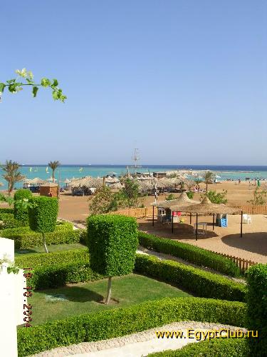 ���� ����