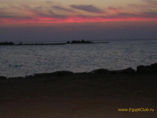 ���� ����