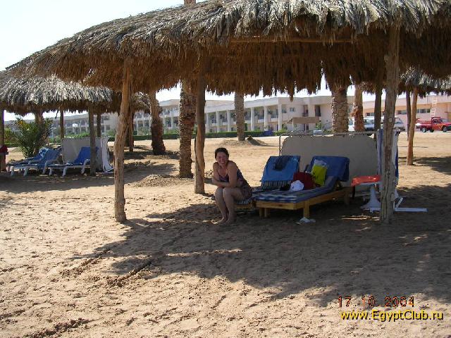 ���� ����