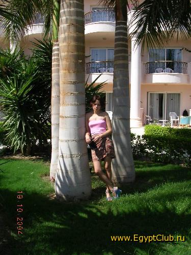 ���� ����