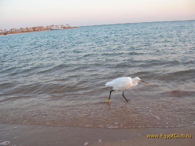 ���� ����