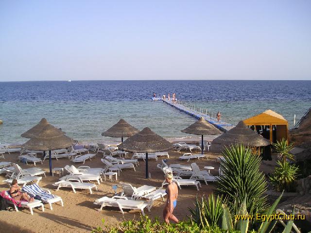 ���� �����