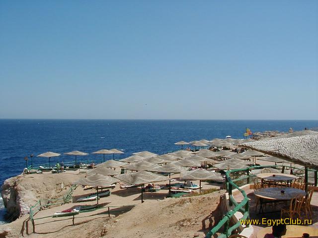 ��� �� ���� ����� �� ����