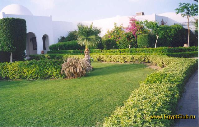 �������, ��������