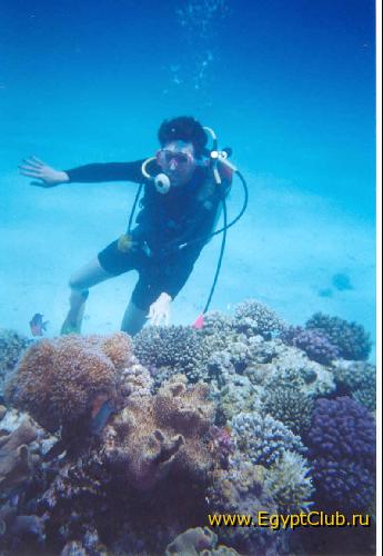 ��������� ���