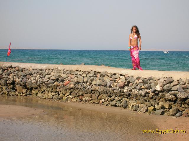 ���� Desert Rose