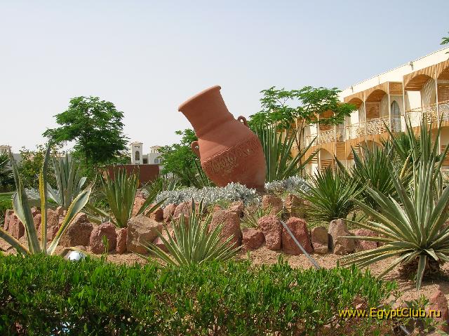 ���������� Desert Rose