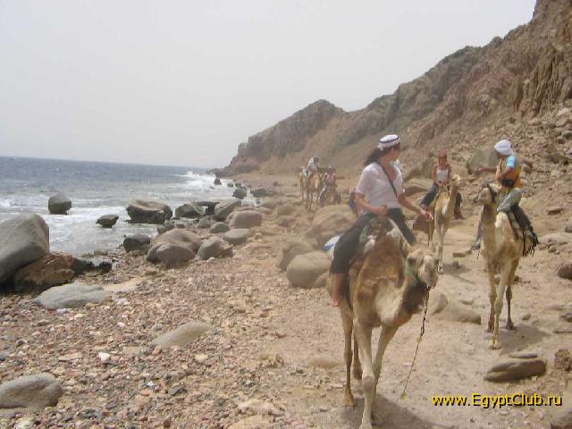 ��������� � ��� �����