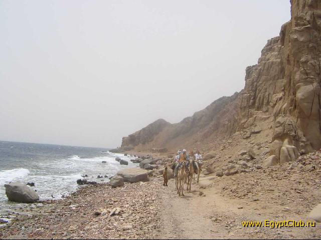 ��������� � ��� �����