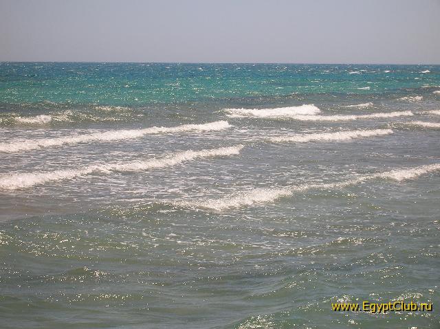 ������� ����