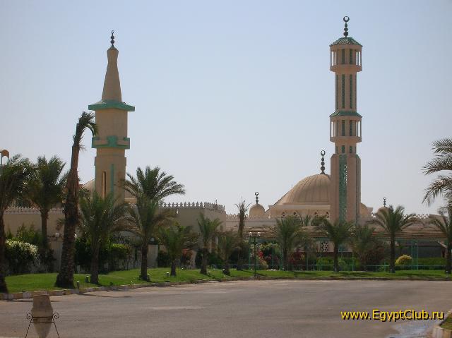 ������ �������