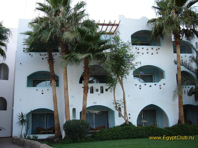 ��� ������ #1