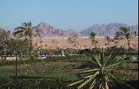 Все это - Египет