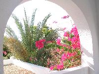 ������� ������