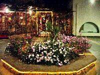 ����� "����"