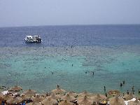 ����� "����"