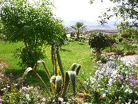 ����� "����"