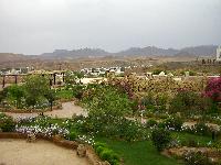 ����� "����"