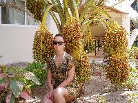 Royal Azur - � � �������