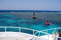 ��� ����