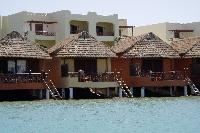 ��� ����