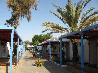 ��� ���������. ���