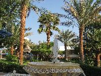 ��� ���������. ���