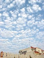 ��� ���������. ���