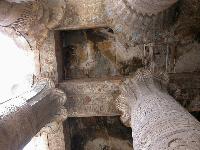 ��������������������� ������