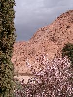 Гора Синай (Моисея)