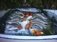 ���� ����