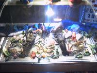 ���� ����