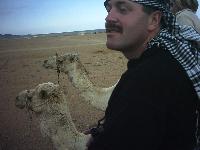 ����� ������