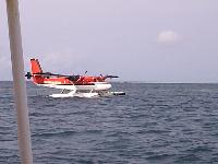 Разные фотографии