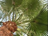 ������ � ������-�����