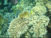 Разные фотографии