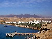 ����� ���� ����