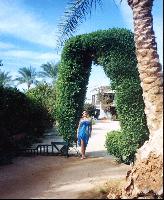 ����� ���� ����.