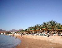 ����� ���� ����.