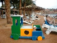 ����� ���� ����