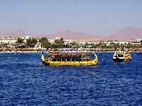 ����� ���