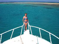 ������ �����