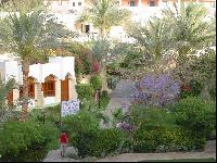 ������� ������, �����